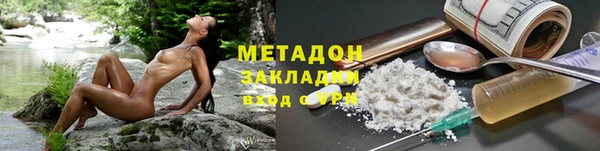 прущие грибы Абаза