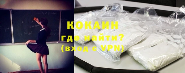 прущие грибы Абаза
