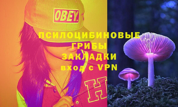 прущие грибы Абаза
