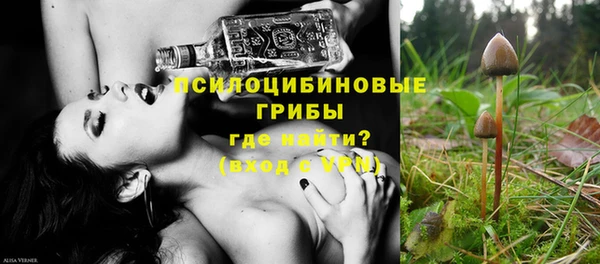 прущие грибы Абаза