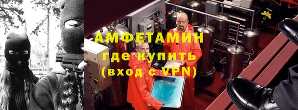 прущие грибы Абаза
