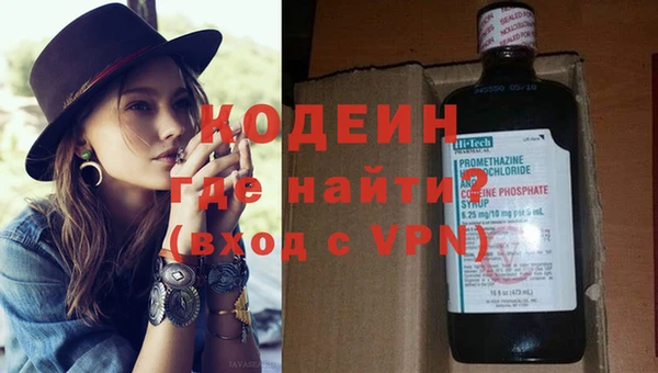 прущие грибы Абаза
