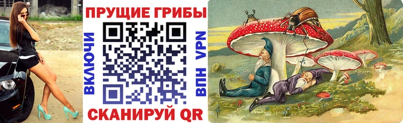 Псилоцибиновые грибы Psilocybe  Королёв 