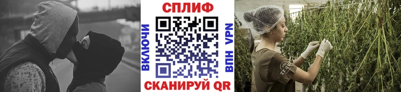 Марихуана сатива hydra ссылка Королёв
